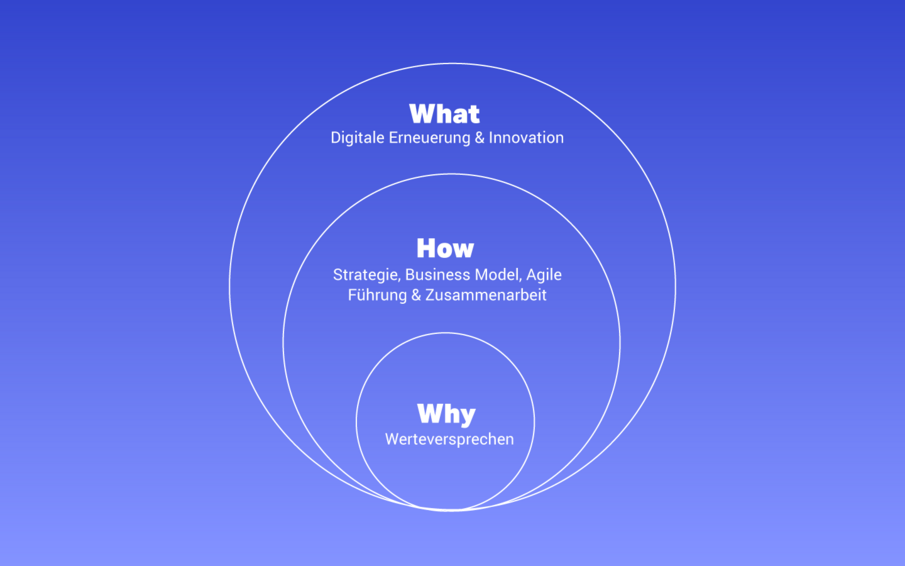Infografik, Workflow, VALID Digitalagentur
