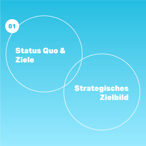 Strategie, Infografik, Workflow, VALID Digitalagentur