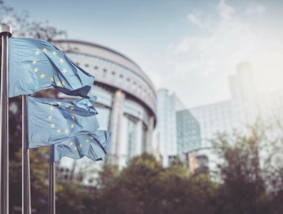 SAFE EU Website SAFE EU Website