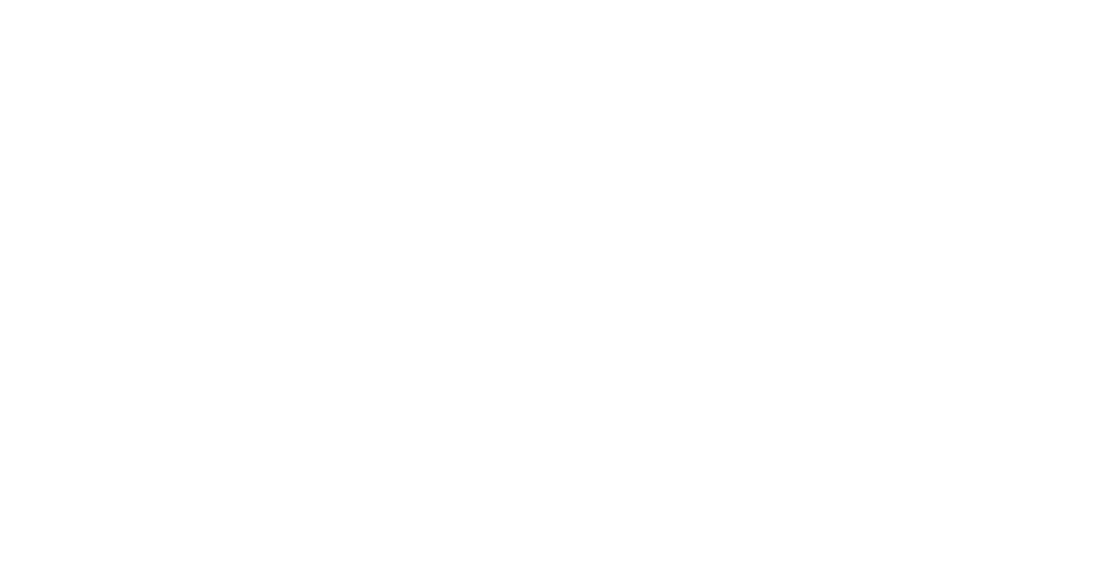 DANEB – Datennetze Berlin