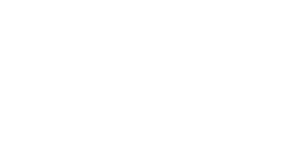 DANEB – Datennetze Berlin DANEB – Datennetze Berlin