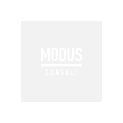 MODUS Consult AG