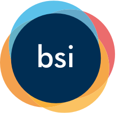 Bundesverband Sachwerte und Investmentvermögen (BSI) e.V. i.L Bundesverband Sachwerte und Investmentvermögen (BSI) e.V. i.L